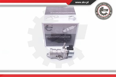 Esen Skv AGR-Ventil [Hersteller-Nr. 14SKV188] für Toyota von ESEN SKV