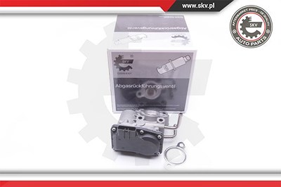 Esen Skv AGR-Ventil [Hersteller-Nr. 14SKV189] für Subaru von ESEN SKV