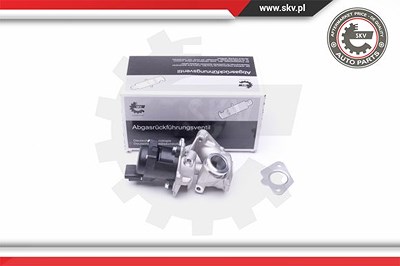 Esen Skv AGR-Ventil [Hersteller-Nr. 14SKV202] für Ford, Mazda, Mini, Volvo von ESEN SKV