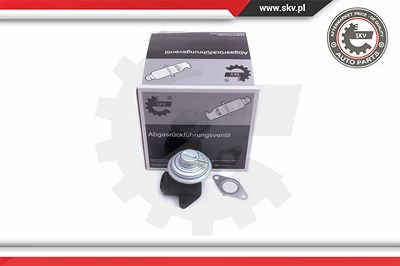 Esen Skv AGR-Ventil [Hersteller-Nr. 14SKV205] für Citroën, Fiat, Lancia, Peugeot, Suzuki von ESEN SKV