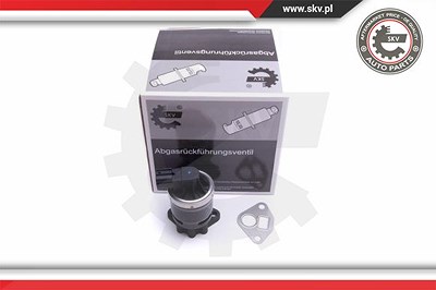 Esen Skv AGR-Ventil [Hersteller-Nr. 14SKV210] für Honda von ESEN SKV