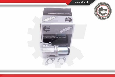 Esen Skv AGR-Ventil [Hersteller-Nr. 14SKV211] für Hyundai, Kia von ESEN SKV