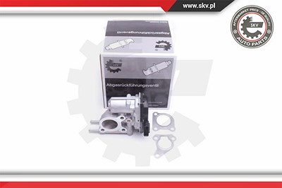 Esen Skv AGR-Ventil [Hersteller-Nr. 14SKV215] für Toyota von ESEN SKV