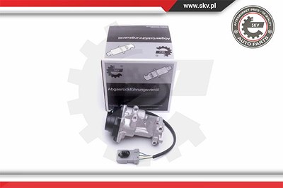 Esen Skv AGR-Ventil [Hersteller-Nr. 14SKV216] für Land Rover von ESEN SKV