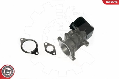 Esen Skv AGR-Ventil [Hersteller-Nr. 14SKV057] für Alfa Romeo, Citroën, Fiat, Ford, Lancia, Peugeot, Volvo von ESEN SKV