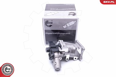 Esen Skv AGR-Ventil [Hersteller-Nr. 14SKV171] für Citroën, Fiat, Ford, Jaguar, Lancia, Land Rover, Mitsubishi, Peugeot von ESEN SKV