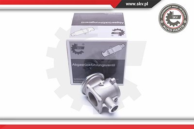 Esen Skv AGR-Ventil [Hersteller-Nr. 14SKV178] für BMW von ESEN SKV