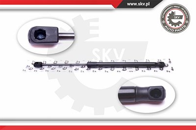Esen Skv Gasfeder, Koffer-/Laderaum [Hersteller-Nr. 52SKV372] für Fiat von ESEN SKV