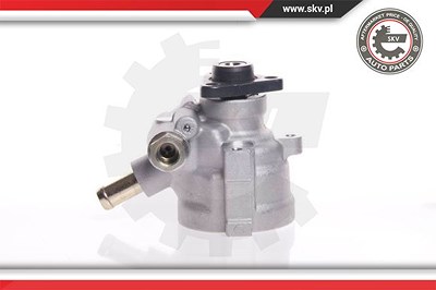 Esen Skv Hydraulikpumpe, Lenkung [Hersteller-Nr. 10SKV007] für Ford von ESEN SKV