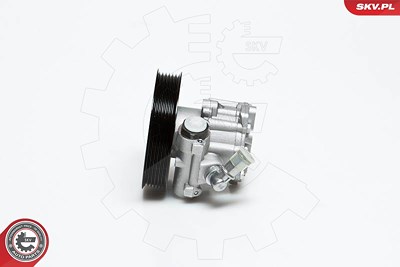 Esen Skv Hydraulikpumpe, Lenkung [Hersteller-Nr. 10SKV022] für Audi von ESEN SKV