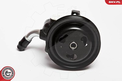 Esen Skv Hydraulikpumpe, Lenkung [Hersteller-Nr. 10SKV065] für Ford von ESEN SKV