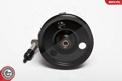 Esen Skv Hydraulikpumpe, Lenkung [Hersteller-Nr. 10SKV066] für Ford von ESEN SKV