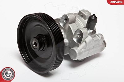 Esen Skv Hydraulikpumpe, Lenkung [Hersteller-Nr. 10SKV068] für Renault von ESEN SKV