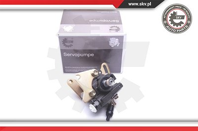Esen Skv Hydraulikpumpe, Lenkung [Hersteller-Nr. 10SKV082] für Toyota von ESEN SKV