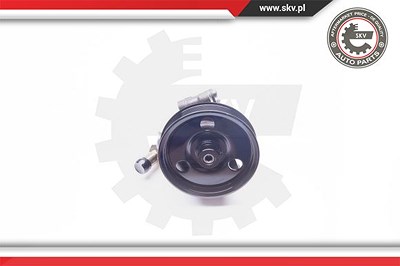 Esen Skv Hydraulikpumpe, Lenkung [Hersteller-Nr. 10SKV114] für Ford von ESEN SKV