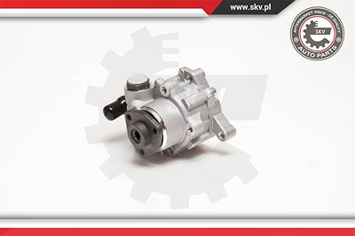 Esen Skv Hydraulikpumpe, Lenkung [Hersteller-Nr. 10SKV124] für Mercedes-Benz von ESEN SKV
