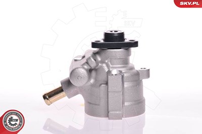 Esen Skv Hydraulikpumpe, Lenkung [Hersteller-Nr. 10SKV141] für Fiat, Lancia von ESEN SKV
