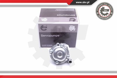 Esen Skv Hydraulikpumpe, Lenkung [Hersteller-Nr. 10SKV170] für BMW von ESEN SKV