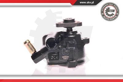 Esen Skv Hydraulikpumpe, Lenkung [Hersteller-Nr. 10SKV175] für Ford von ESEN SKV