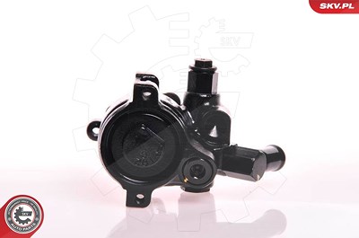 Esen Skv Hydraulikpumpe, Lenkung [Hersteller-Nr. 10SKV179] für Ford von ESEN SKV