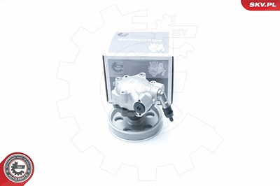 Esen Skv Hydraulikpumpe, Lenkung [Hersteller-Nr. 10SKV185] für Audi von ESEN SKV