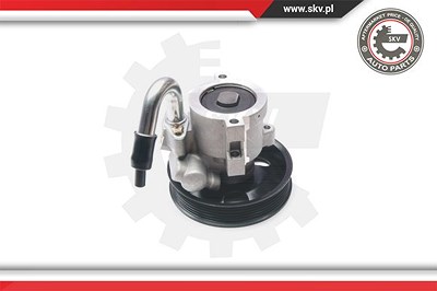 Esen Skv Hydraulikpumpe, Lenkung [Hersteller-Nr. 10SKV206] für Chevrolet, Daewoo von ESEN SKV