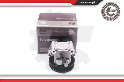 Esen Skv Hydraulikpumpe, Lenkung [Hersteller-Nr. 10SKV219] für Ford von ESEN SKV