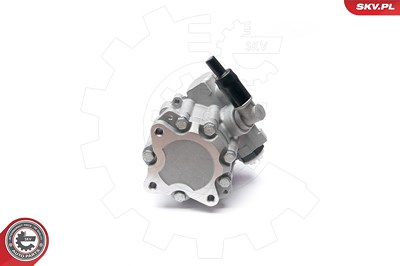 Esen Skv Hydraulikpumpe, Lenkung [Hersteller-Nr. 10SKV224] für Audi von ESEN SKV