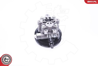 Esen Skv Hydraulikpumpe, Lenkung [Hersteller-Nr. 10SKV265] für Land Rover von ESEN SKV