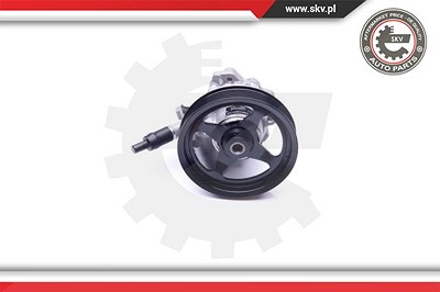 Esen Skv Hydraulikpumpe, Lenkung [Hersteller-Nr. 10SKV266] für Land Rover von ESEN SKV