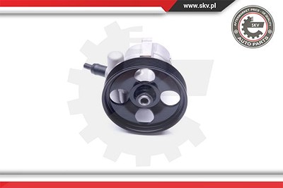 Esen Skv Hydraulikpumpe, Lenkung [Hersteller-Nr. 10SKV281] für Saab von ESEN SKV