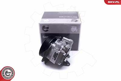 Esen Skv Hydraulikpumpe, Lenkung [Hersteller-Nr. 10SKV294] für Land Rover von ESEN SKV
