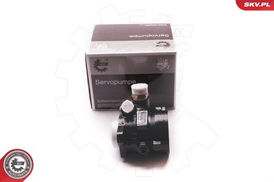 Esen Skv Hydraulikpumpe, Lenkung [Hersteller-Nr. 1SKV0001] von ESEN SKV
