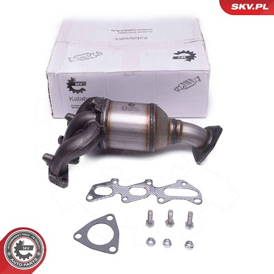 Esen Skv Katalysator [Hersteller-Nr. 62SKV012] für Opel, Vauxhall von ESEN SKV