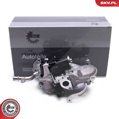 Esen Skv Kühler, Abgasrückführung [Hersteller-Nr. 14SKV244] für Citroën, Peugeot von ESEN SKV