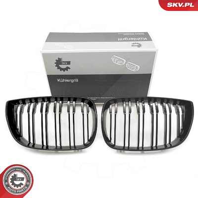 Esen Skv Kühlergitter [Hersteller-Nr. 66SKV005] für BMW von ESEN SKV