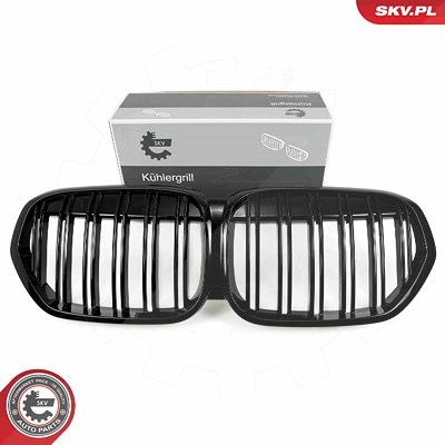 Esen Skv Kühlergitter [Hersteller-Nr. 66SKV243] für BMW von ESEN SKV