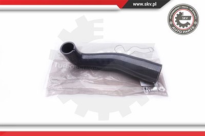Esen Skv Ladeluftschlauch [Hersteller-Nr. 24SKV855] für Fiat von ESEN SKV