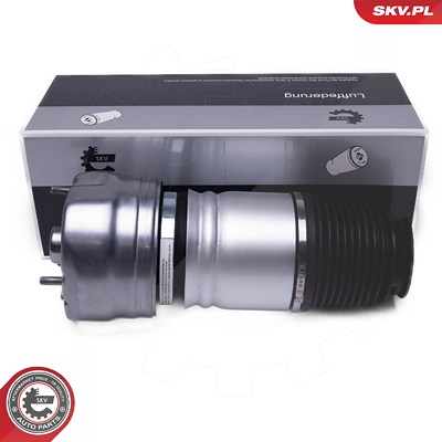 Esen Skv Luftfederbein [Hersteller-Nr. 58SKV079] für Porsche von ESEN SKV