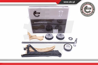 Esen Skv Steuerkettensatz [Hersteller-Nr. 21SKV168] für BMW von ESEN SKV