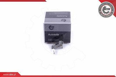Esen Skv Türgriff, Innenausstattung [Hersteller-Nr. 96SKV765] für Abarth, Fiat von ESEN SKV