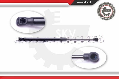 Esen Skv Gasfeder, Koffer-/Laderaum [Hersteller-Nr. 52SKV306] für Alfa Romeo von ESEN SKV