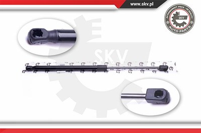 Esen Skv Gasfeder, Koffer-/Laderaum [Hersteller-Nr. 52SKV318] für Audi von ESEN SKV