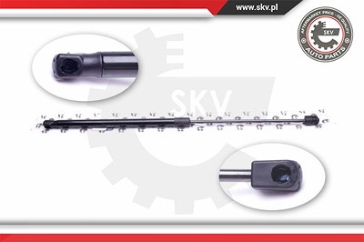 Esen Skv Gasfeder, Koffer-/Laderaum [Hersteller-Nr. 52SKV358] für Fiat von ESEN SKV