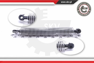 Esen Skv Gasfeder, Koffer-/Laderaum [Hersteller-Nr. 52SKV563] für BMW von ESEN SKV