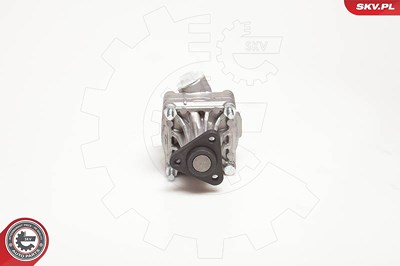 Esen Skv Hydraulikpumpe, Lenkung [Hersteller-Nr. 10SKV005] für Audi, VW von ESEN SKV