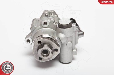 Esen Skv Hydraulikpumpe, Lenkung [Hersteller-Nr. 10SKV018] für Audi, Ford, Seat, VW von ESEN SKV