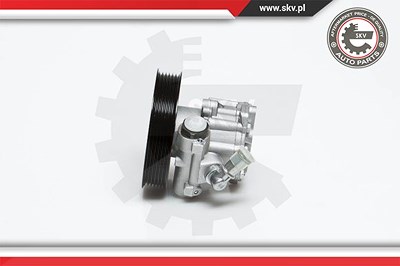 Esen Skv Hydraulikpumpe, Lenkung [Hersteller-Nr. 10SKV022] für Audi von ESEN SKV