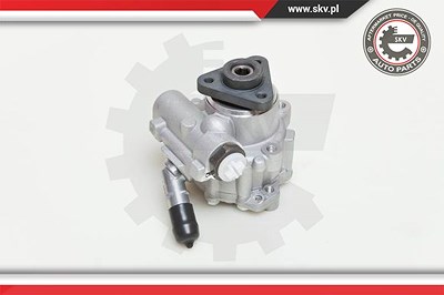 Esen Skv Hydraulikpumpe, Lenkung [Hersteller-Nr. 10SKV048] für Audi von ESEN SKV