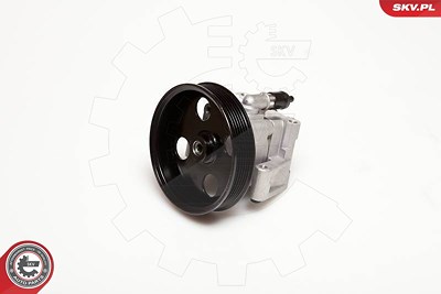 Esen Skv Hydraulikpumpe, Lenkung [Hersteller-Nr. 10SKV050] für Jaguar von ESEN SKV